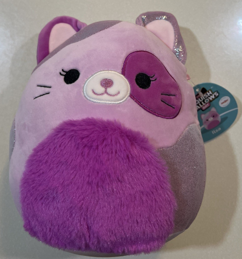 NEW 2026 Squishmallow ILSA THE CAT MEIJER EXCLUSIVE