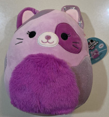 NEW 2026 Squishmallow ILSA THE CAT MEIJER EXCLUSIVE