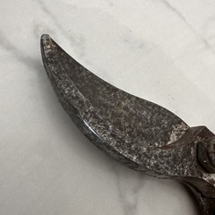 Vintage Corona BP 3160 1113V Standard Hand Pruning Shears