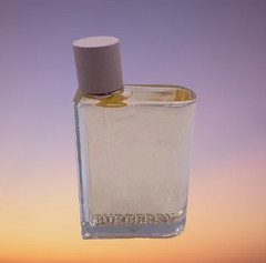 Burberry Her Eau de Parfum 3.3 oz (100ml) Women New Sealed FREE Shipping