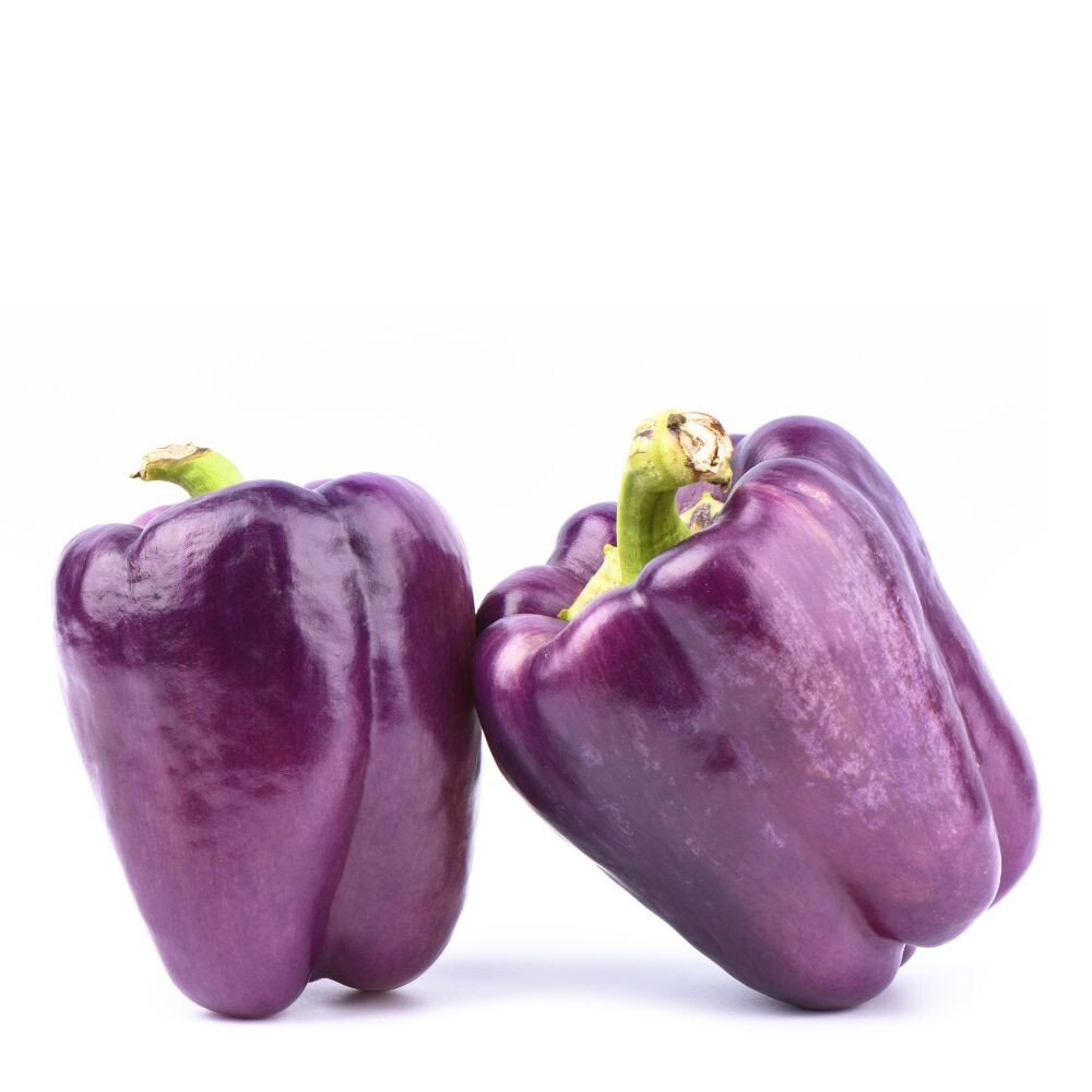 25 Premium Sweet Purple Beauty | NON-GMO | Pepper Seeds-B 10