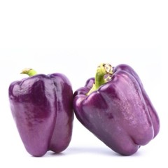 25 Premium Sweet Purple Beauty | NON-GMO | Pepper Seeds-B 10