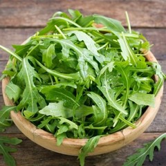 ORGANIC ARUGULA SEEDS -Microgreens, NON-GMO- 1200 Seeds