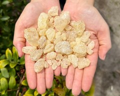 Natural Granular ‘A’ Grade White Copal Resin Incense: 1 lb + 6 Charcoal Tablets