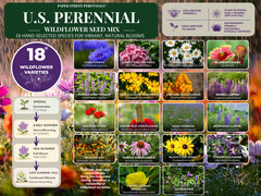 Bulk Wildflower Seed Mix – 1 Pound, All Zones Perennial Mix, Covers 2,000 SQFT