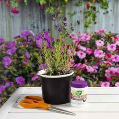 2 Pack Garden Safe Takeroot Rooting Hormone, New Plants Growth Powder – 2 Oz