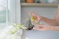 Grab Bag Small/Medium Air Plants & Fertilizer-Wholesale Tillandsia, Easy Care