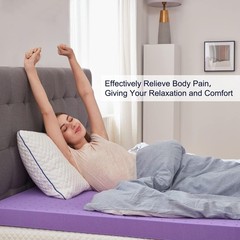 SINWEEK 2 Inch Gel Memory Foam Mattress Topper Ventilated Soft Pressure Relieve