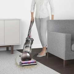 Dyson UP30 Ball Animal 3 | Nickel/Silver | Refurbished