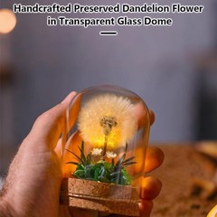 Forever Preserved Real Dandelion Gift For Women, Eternal Flower Gift For Mom New