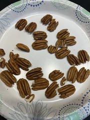 10 Lbs. 2025-2026 Squirrel Grade Pecans In The Shell, Not For Human Consumption
