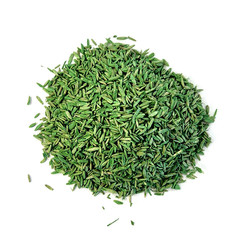Expert Gardener Sun & Shade Northern Grass Seed Mix for Sun to Partial Shade