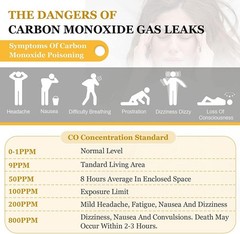 2PC Carbon Monoxide Detector Plug 3-in-1 CO Level Monitor Alarm with Temp Sensor