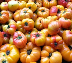 Vegetable Seed Lot $1.99 each 121 Heirloom Varieties For GARDEN/STORAGE non gmo