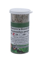 NaturesGoodGuys – Phytoseiulus persimilis – Predatory Spider Mite Control