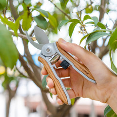 Berry&Bird 2pcs Pruning Shears Mini Curved Blades Hand Pruners W/ Wooden Handle