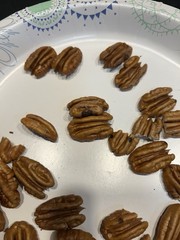 10 Lbs. 2025-2026 Squirrel Grade Pecans In The Shell, Not For Human Consumption