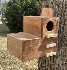 Large Solid Cedar Backyard Squirrel House Nesting Box – Wooden W Preditor Guard