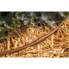 Rain Bird Drip Emitter Tubing 1/2 in x 100 ft Irrigation Hose 12 in Spacing