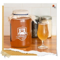 Fermentaholics Organic Kombucha SCOBY with Twelve Ounces of Starter Tea