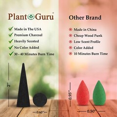60 Jumbo Charcoal Incense Cones 2″ TOPFLOW Bulk For Burner Holder Variety Lot