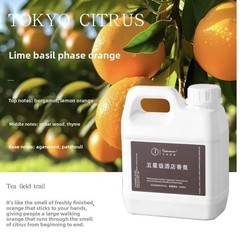 1300mL Hotel Scent Diffuser Oil Ritz Carlton Style Aromatherapy