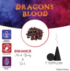 Dragons Blood Charcoal Incense Cones 1″ TOPFLOW Bulk Wholesale For Burner Holder