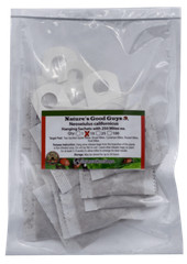 Slow Release Sachets – Neoseiulus californicus – Predatory Spider Mite Control