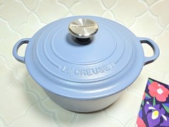 Le Creuset Matte Mineral Blue 20cm 2.75qt Dutch Oven Classic CHIPPED Shiny Mint