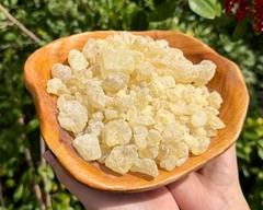 Natural Granular ‘A’ Grade White Copal Resin Incense: 1 lb + 6 Charcoal Tablets
