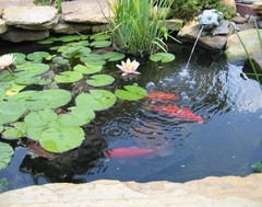Outdoor Pond Liner 10×13 FT – UV Resistant Fish Pond Liner