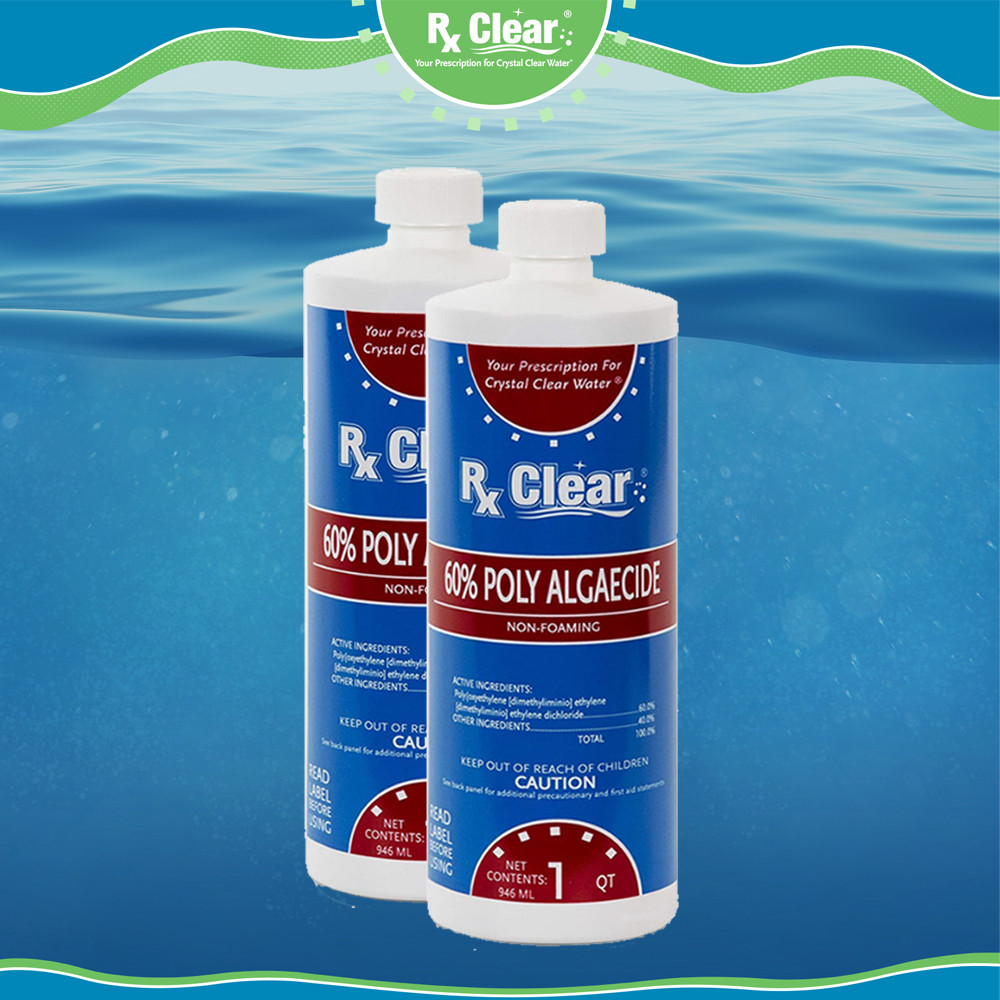 Rx Clear Swimming Pool 60 Plus Prevents Algaecide Chemical – 2 x 1 Quart Bottles