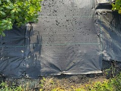 Heavy Duty Landscape Fabric 3.5 oz, Weed Barrier Garden Mat, Different Sizes
