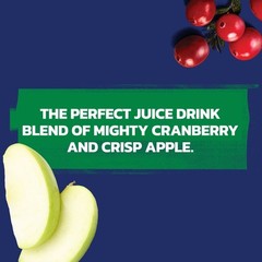 Ocean Spray Cran-Apple Cranberry Apple Juice Drink, 101.4 Fl Oz Bottle Pack of 1