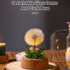 Forever Preserved Real Dandelion Gift For Women, Eternal Flower Gift For Mom New