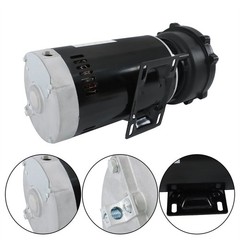 Executive 56-Frame 4HP Dual-Speed Spa Pump, 2in Intake, 2in Discharge