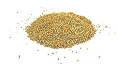 Organic Quinoa GOLD Whole Grain non GMO Bulk Vegan