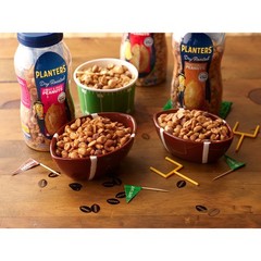 PLANTERS Sweet and Spicy Peanuts, Plant-Based Protein, 16 Ounce (Pack of 1)