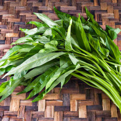 Fresh Water Spinach Seeds | Kangkong | Heirloom Non-GMO | Asian Vegetable Seeds