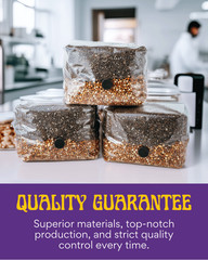 6lbs All-in-One Mushroom Grow Kit in a Bag | HUGE FLUSHES | Easy to Use