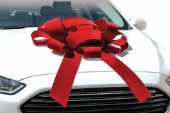 CarBowz Magnetic Velvet Car Bow Fully Assembled Large 4 ft Red Blue