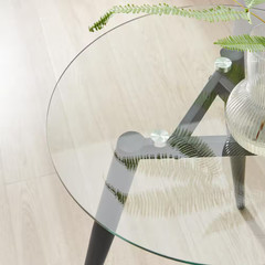 Van Beuren 21.75 In. X 19.75 In. Black and Glass round Side Table with Modern Me