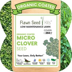 Micro Clover Seed, Organic Coated, Eco-Friendly, Low Growing, Low Maintenance