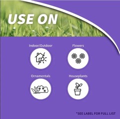 Bonide Systemic Houseplant Insect Control, 8 oz Ready-to-Use Granules for Indoor