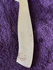 Cuisinart High Carbon Stainless Steel Hammered Handle Steak Knife C77SSH17PB-STK