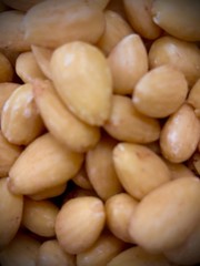 Blanched Whole Almonds Fresh Resealable Bag 11oz.to 30lbs.by Agro Sun
