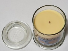 New Yankee Candle 8 oz Girl Scouts Chocolate Peanut Butter + Trefoils Candles