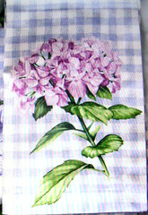 WILLIAMS SONOMA HYDRANGEA GINGHAM NAPKINS 100% COTTON TWILL SET OF 4 FOUR NWTAG