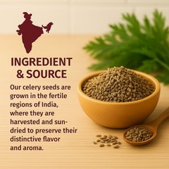 Whole Celery Seeds – Apium graveolens – 5 LBS All-Natural Spice for Cooking
