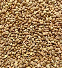 Ripkitty Premium Whole Hemp Seeds Nuts Organic Free Shipping
